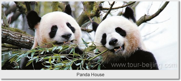 Panda House at Beijing Zoo