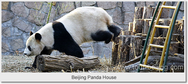 Beijing Panda House