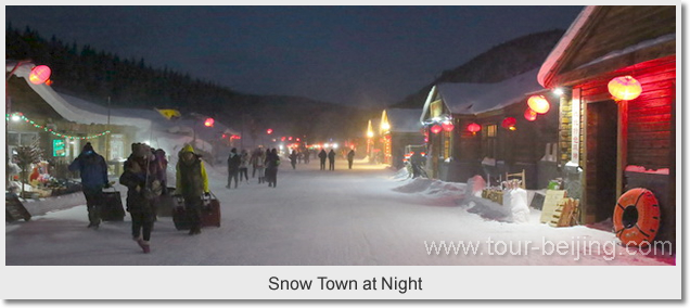 Snow Town at Night