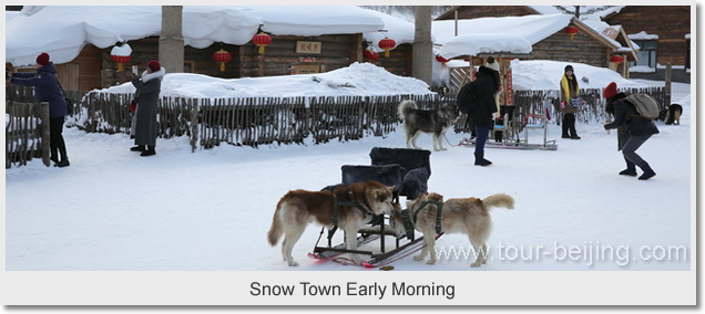 Snow Town Early Morning