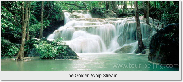 The Golden Whip Stream