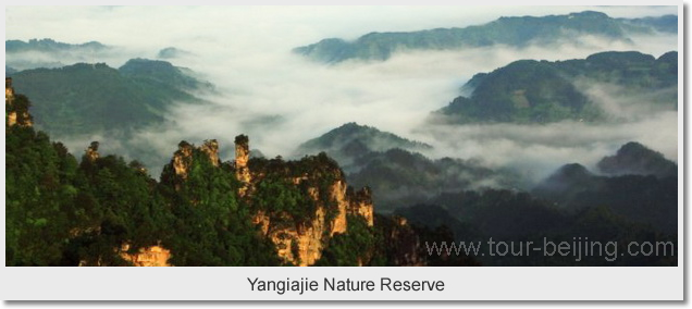  Yangiajie Nature Reserve