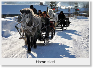 Horse sled