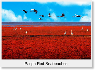 Panjin Red Seabeaches