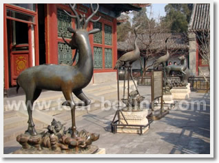 Shanghai Suzhou Day Tour