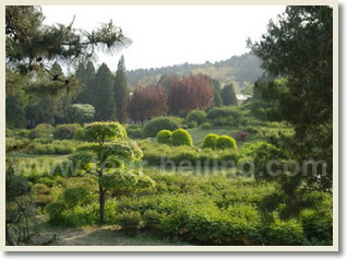 Most Environmental-Friendly Beijing Day Trip