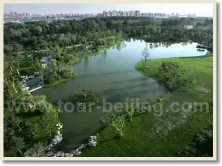 Most Popular Beijing Family Day Trip