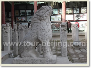 Hong Kong Xian 4 Day Tour