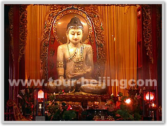 Hong Kong Shanghai 4 Day Tour