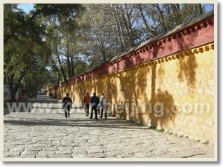 Beijing Lhasa Shanghai 9 Day Tour
