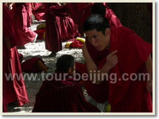 Beijing Lhasa Shanghai 9 Day Tour