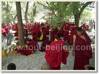 Beijing Lhasa Xian Shanghai 11 Day Tour