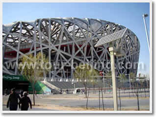 the Bird's Nest