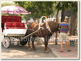 Beijing Tianjin Day Tour by Bullet Train
