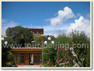 Beijing Xian Lhasa Shanghai 12 Day Tour