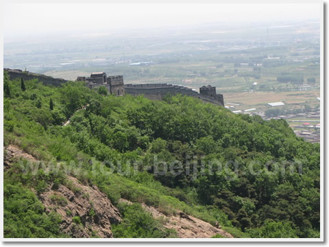 Where are the birds in the Jiaoshan Great Wall?