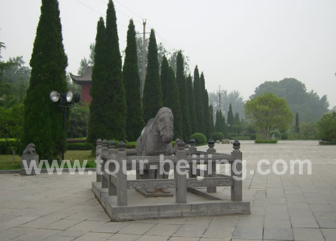 The statue of the White Horse carrying the Buddhist scriptures and status