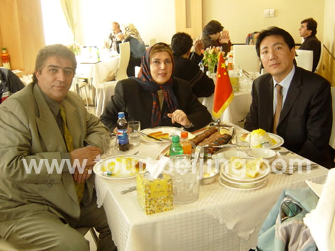 Enjoy kabab in Tehran