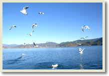 Xining Lhasa 7 Days Train Tour