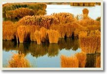 Qinghai Ningxia 7 Day Tour 