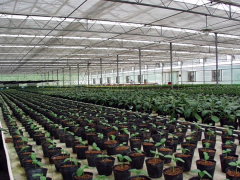 Jifa Agricultural Sightseeing Park, Qinhuangdao