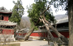 Beijing Buddhism One Day Tour