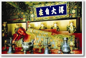 Beijing Buddhism One Day Tour