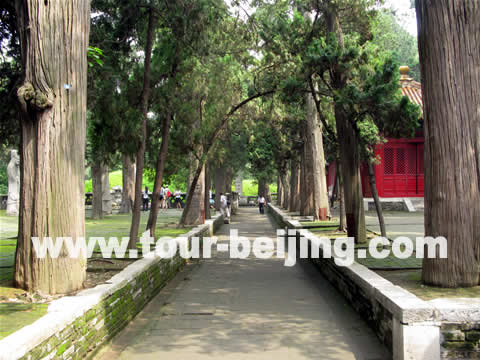 Cemetery of Confucius in Qufu, Shandong