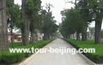 Cemetery of Confucius in Qufu, Shandong