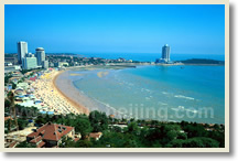 Qingdao One Day Private Tour