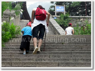 Taishan One Day Private Tour