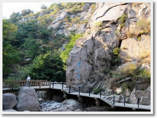 Qingdao One Day Private Tour