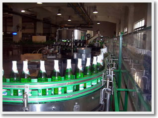 Qingdao One Day Private Tour