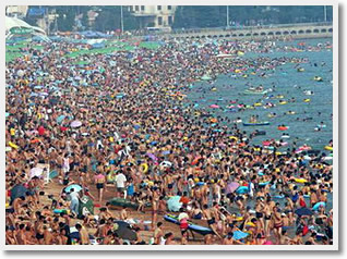 Qingdao One Day Private Tour