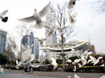 Shanghai People's Square