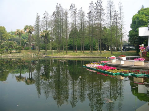 Shanghai Botanical Garden