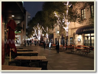 Shanghai Night Tour