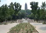 Beijing Shanghai 3-Day Tour