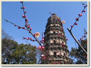 Shanghai Suzhou Bus Day Tour