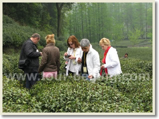 Shanghai Hangzhou Day Tour