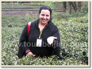 Shanghai Hangzhou Day Tour