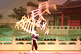 Acrobatics Show