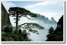 Shanghai to Huangshan 3 Day Tour