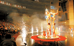 Beijing Wuqiao Acrobatics One Day Tour