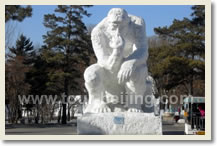 Harbin Winter Vacation Packages