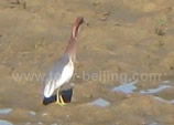 Beijing Guilin 3 Days Tour