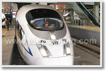 Beijing Tianjin Day Tour by Bullet Train