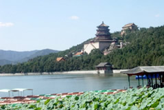 Escorted Apricot Flower Viewing Day Tour
