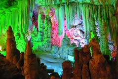 Escorted Peach Blossoms Day Tour