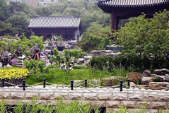 Guided Chinese Flowering Crabapple Viewing Day Tour
